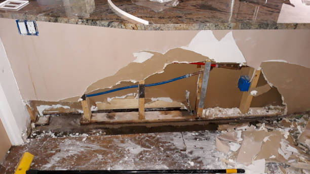 Best Water damage restoration process  in Richmond Heights, FL