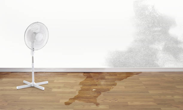 Best 24-hour water damage restoration  in Richmond Heights, FL