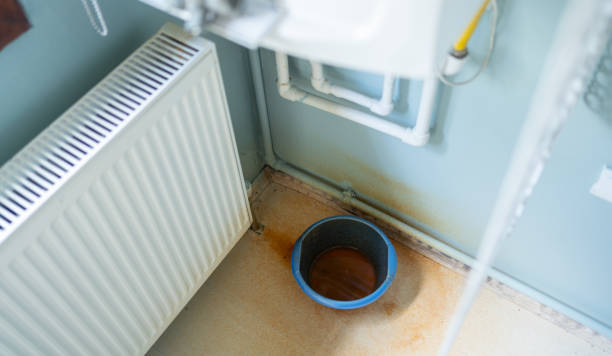 Best Water damage restoration near me  in Richmond Heights, FL
