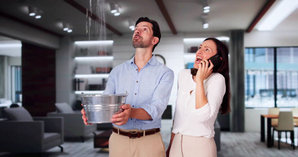 Best Professional water damage repair  in Richmond Heights, FL