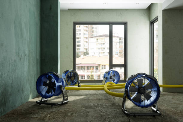 Best Carpet water damage restoration  in Richmond Heights, FL