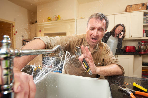 Best Local water damage restoration  in Richmond Heights, FL